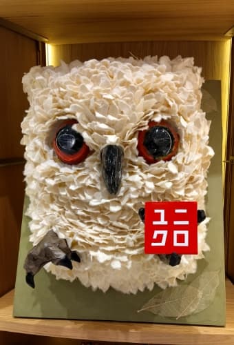 commission_uniqlo_gufo_1