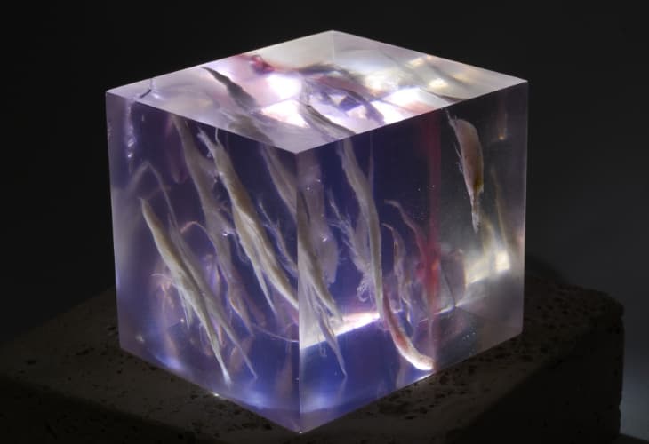 light_blue_diagonalsouls_1