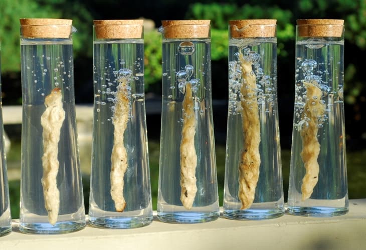 object_jelly_souls_1