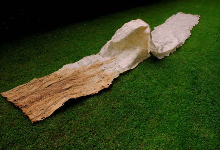 object_koge_striscia_1