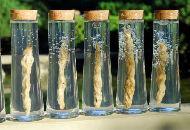 next project thumbnail