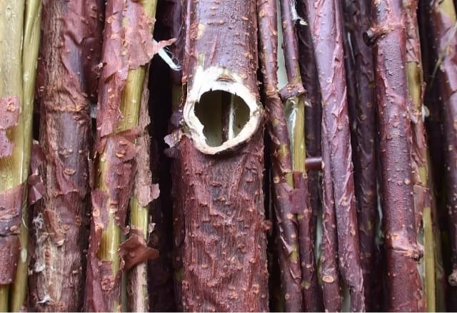 next project thumbnail