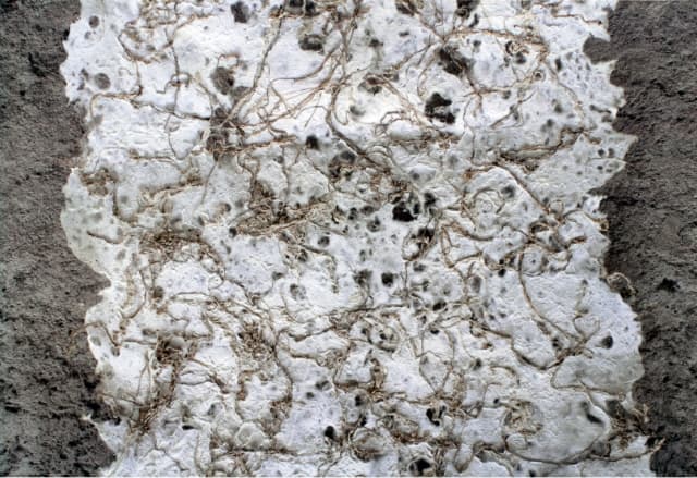 next project thumbnail