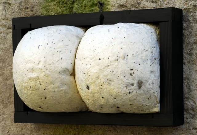 next project thumbnail